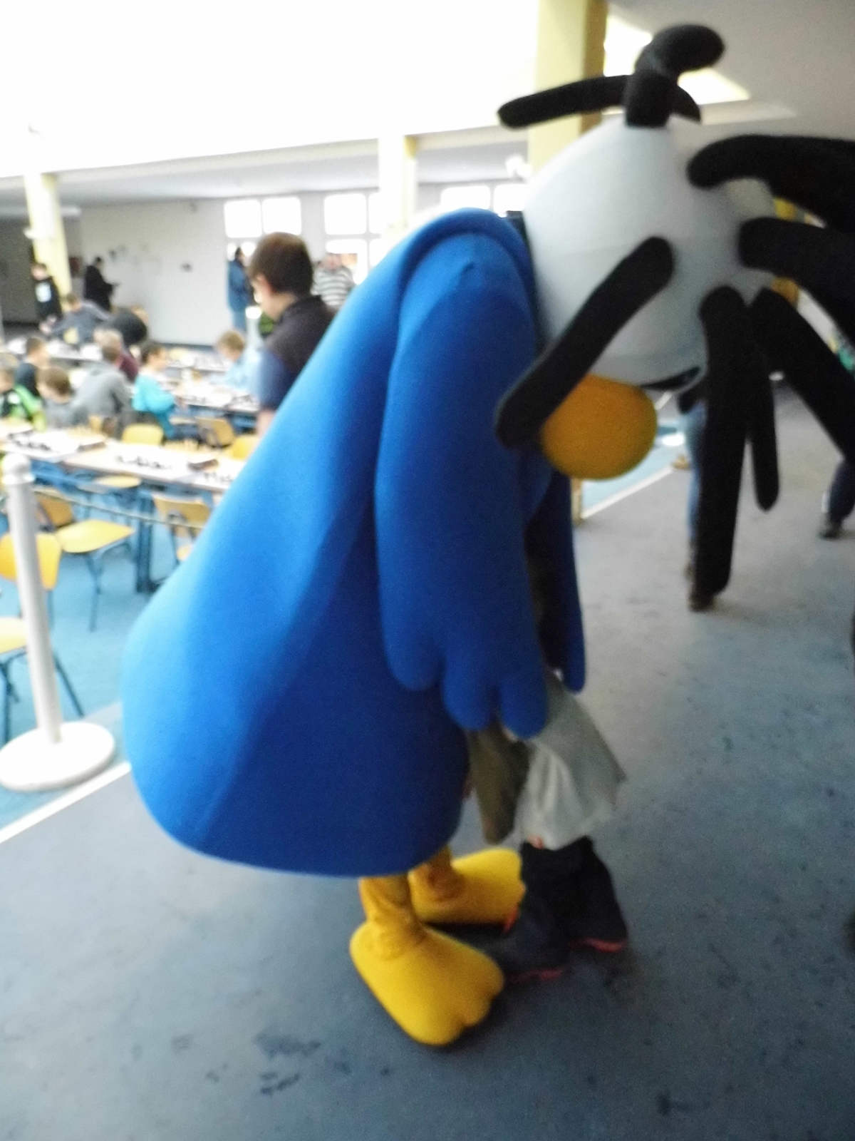 Vorschau